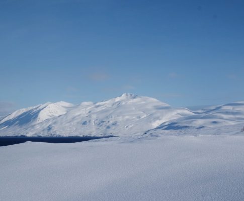 Arnarnes-Kaldbakur